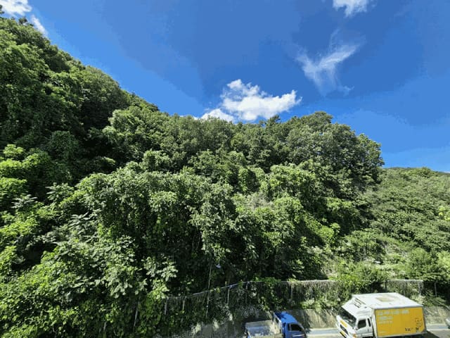 B000320202501300017474.jpg