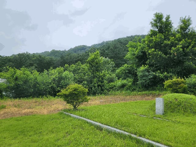 B0003202025013000194511.jpg