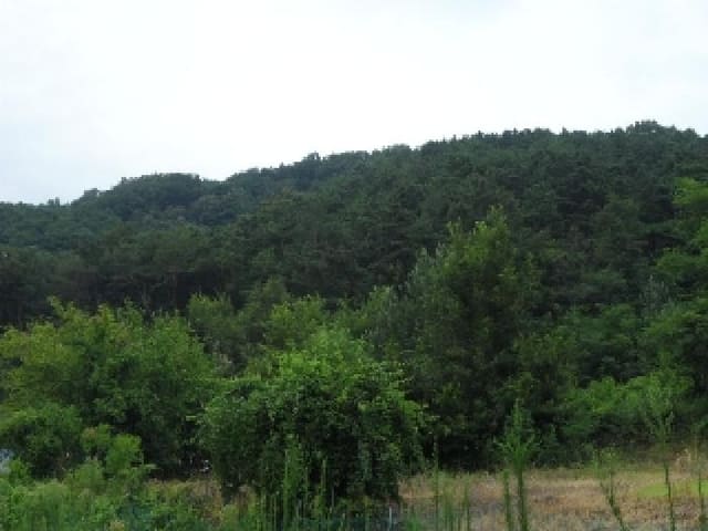 B000320202501300019453.jpg