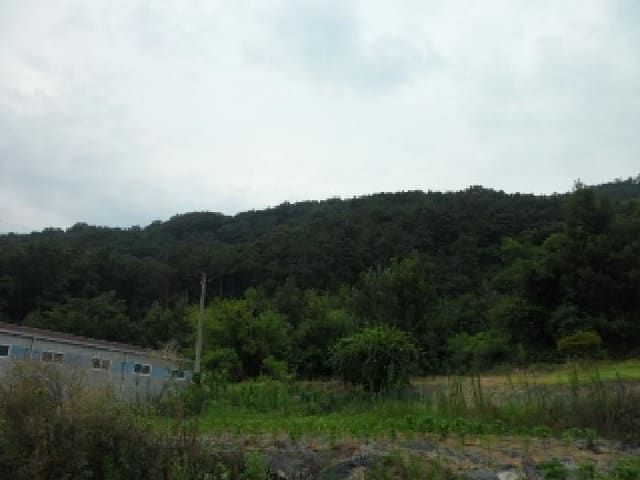 B000320202501300019452.jpg