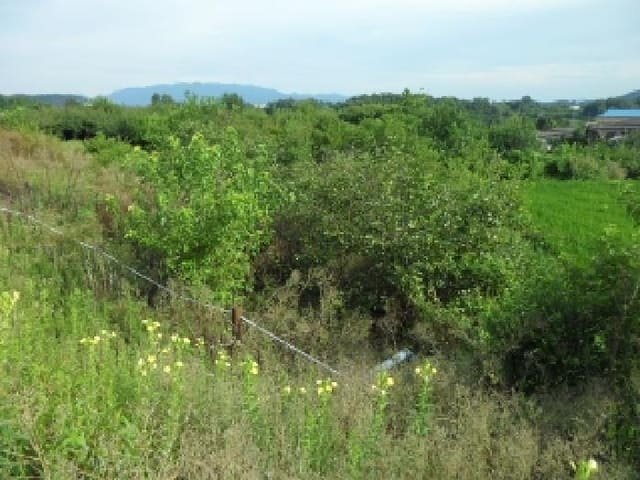 B000320202501300020611.jpg