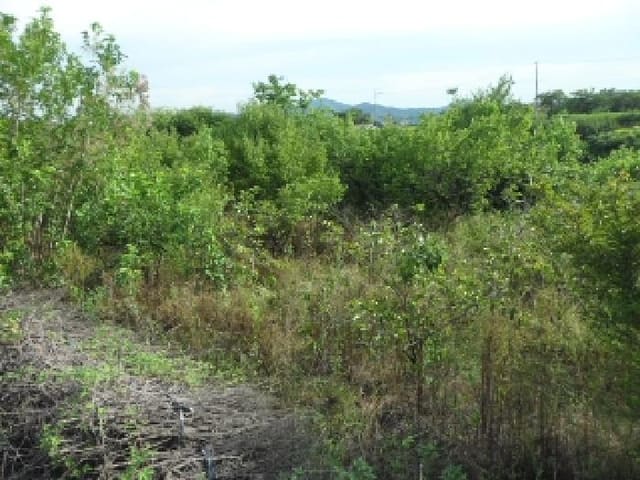 B000320202501300020612.jpg