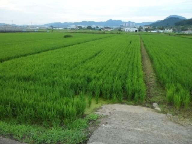 B000320202501300021912.jpg