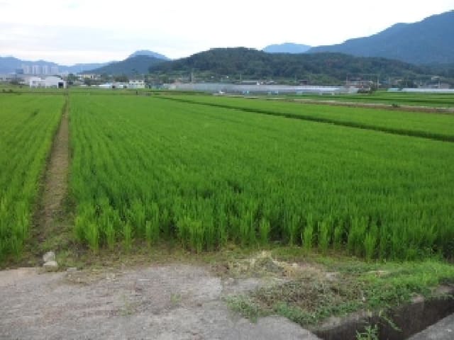 B000320202501300021911.jpg
