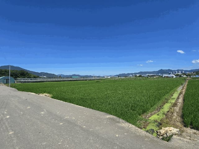 B000320202501300021914.jpg