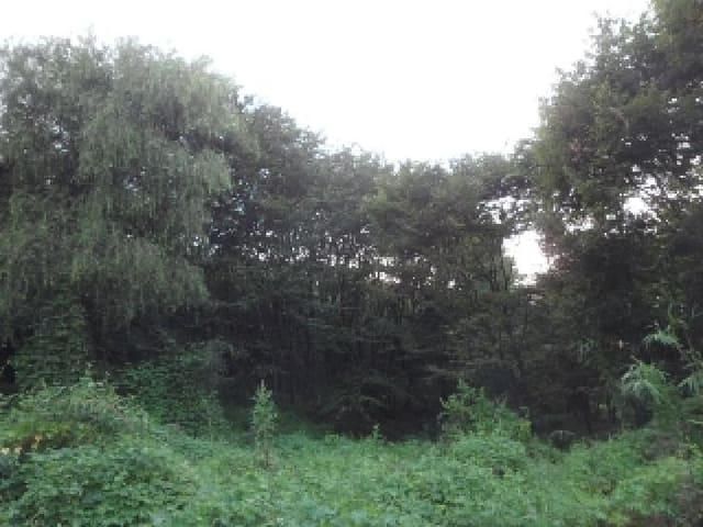 B000320202501300022832.jpg