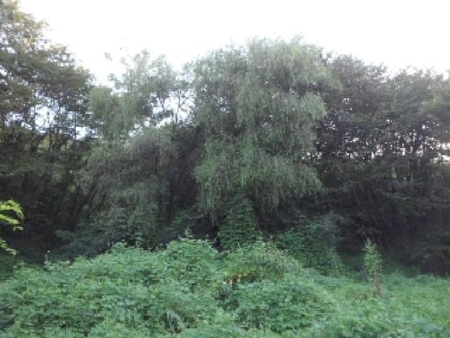 B000320202501300022831.jpg