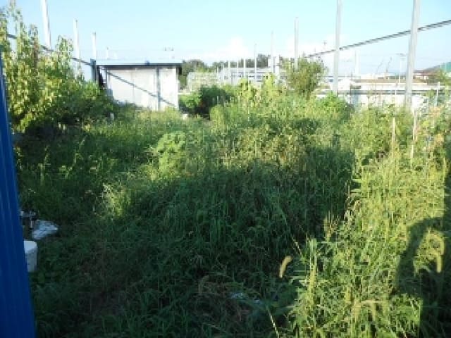 B000320202501300023068.jpg