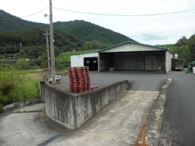 B000320202501300024742.jpg