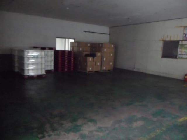 B000320202501300024744.jpg