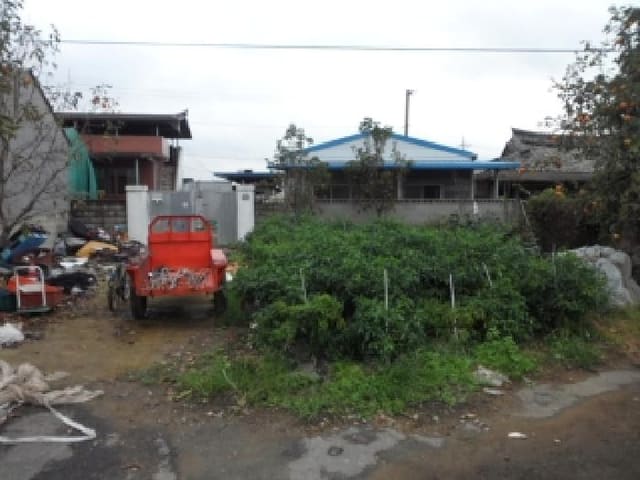 B000320202501300027261.jpg