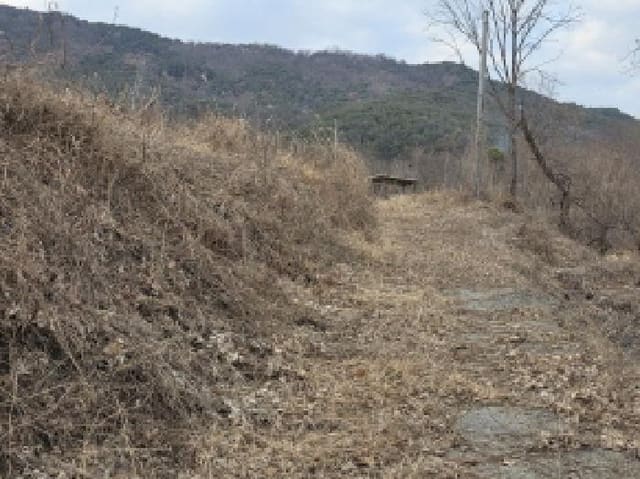 B000320202501300028874.jpg