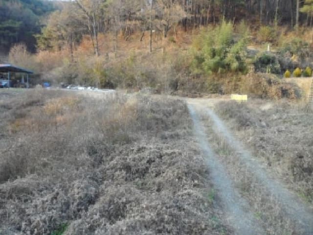 B000320202501300029484.jpg