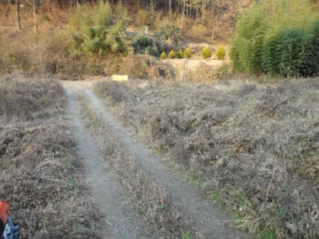B000320202501300029483.jpg