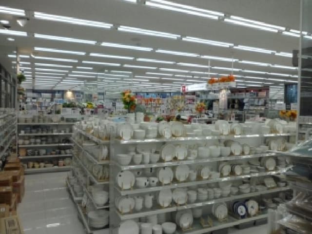 B000320202501300029552.jpg