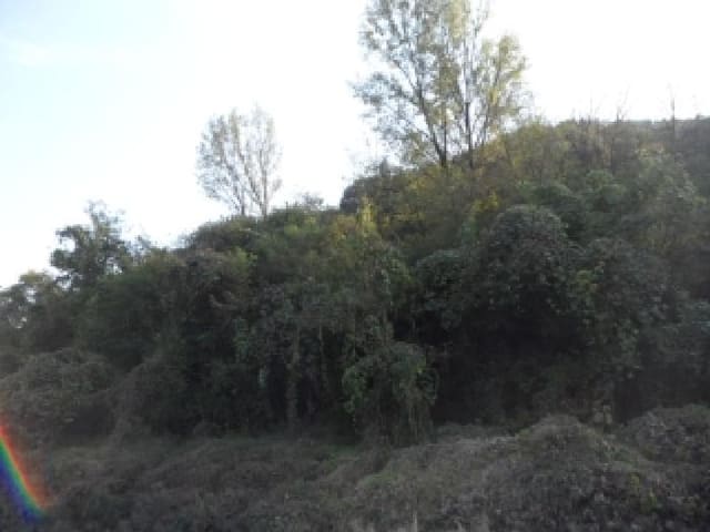 B000320202501300032242.jpg