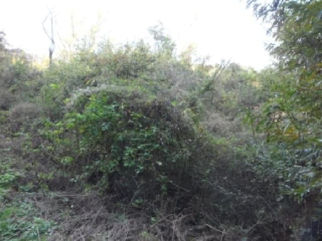 B000320202501300032241.jpg