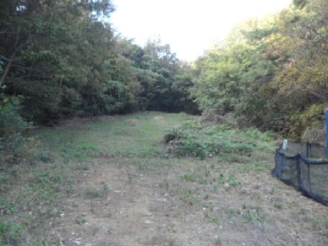 B000320202501300032244.jpg