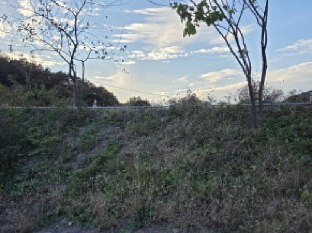 B000320202501300032484.jpg