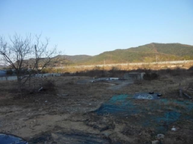 B000320202501300032931.jpg