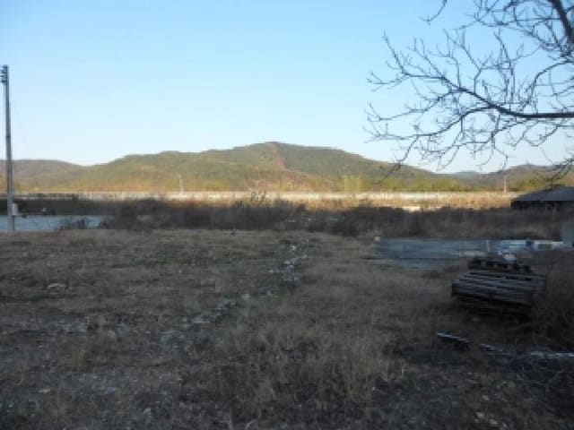 B000320202501300032933.jpg