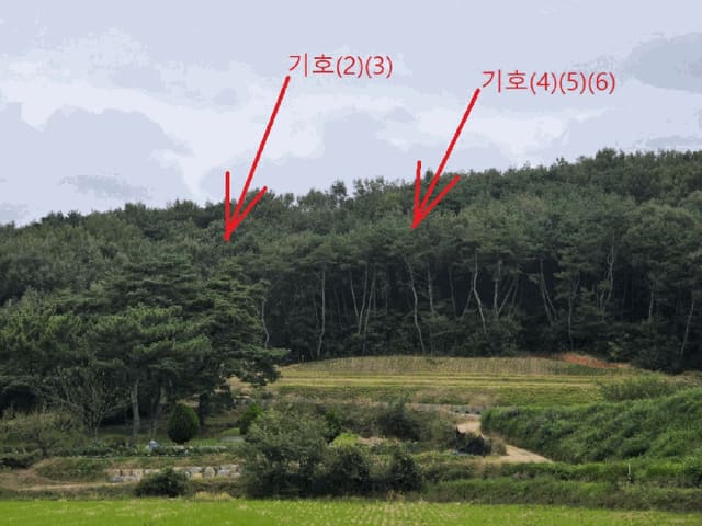 B0003202025013000333014.jpg