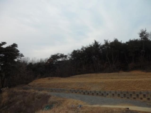 B000320202501300033301.jpg