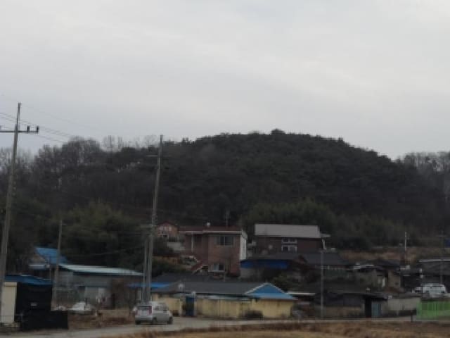 B000320202501300033303.jpg