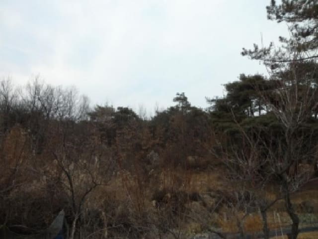 B000320202501300033302.jpg