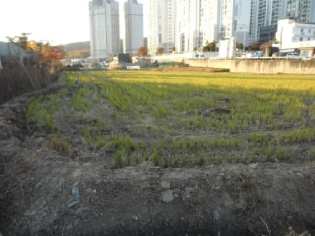 B000320202501300036062.jpg