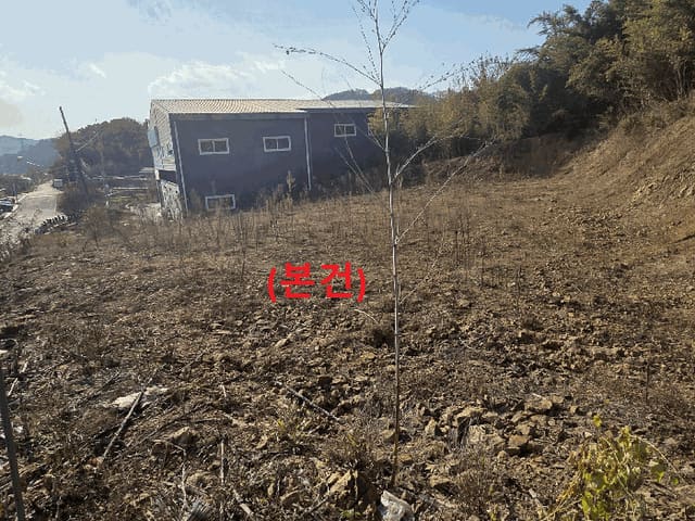 B000320202501300036684.jpg