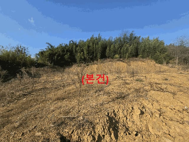 B000320202501300036683.jpg