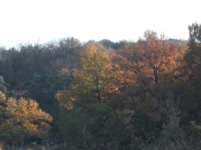B000320202501300037124.jpg