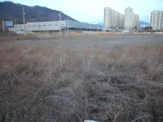 B000320202501300040811.jpg