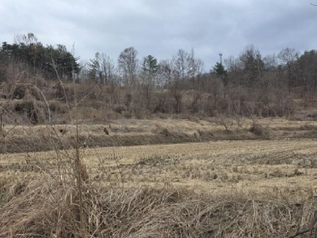 B000320202501300043261.jpg