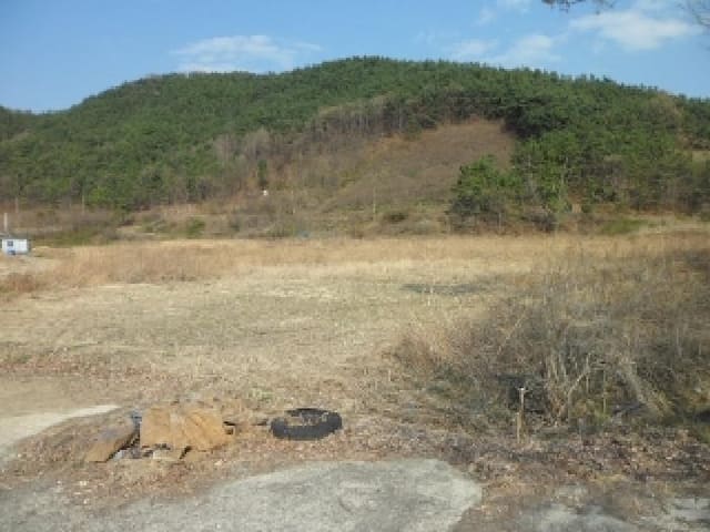 B000320202501300309784.jpg