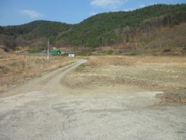 B000320202501300309783.jpg