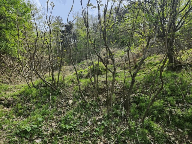 B000320202501300310994.jpg