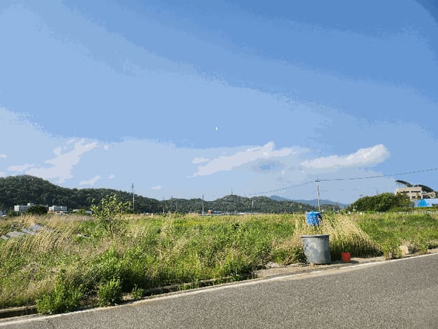 B000320202501300311522.jpg