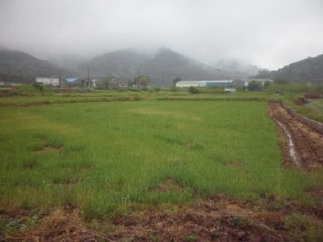 B000320202501300311781.jpg