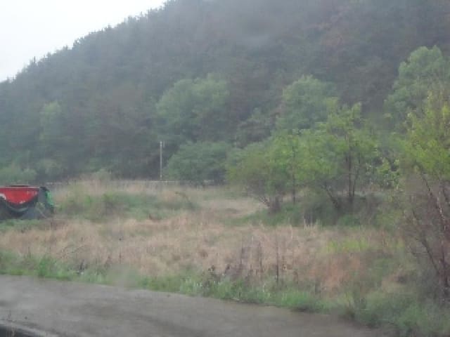 B000320202501300311782.jpg
