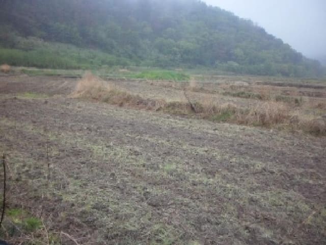 B000320202501300311784.jpg