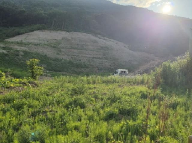 B000320202501300312451.jpg