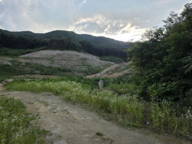 B000320202501300312452.jpg