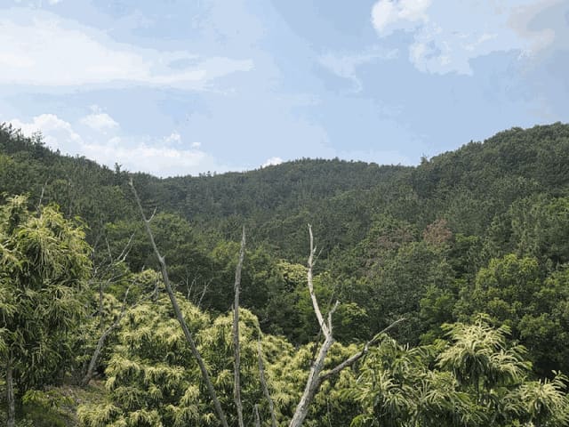 B000320202501300313224.jpg
