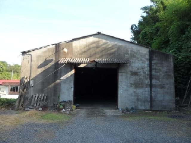 B000320202501300313784.jpg