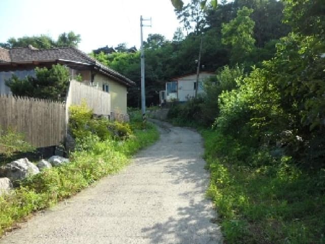 B000320202501300313781.jpg