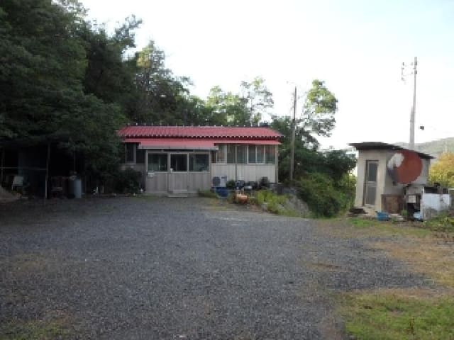 B000320202501300313782.jpg