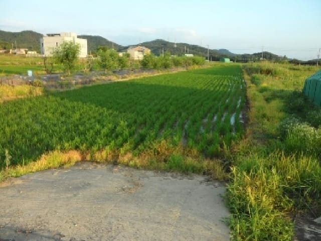 B000320202501300313972.jpg