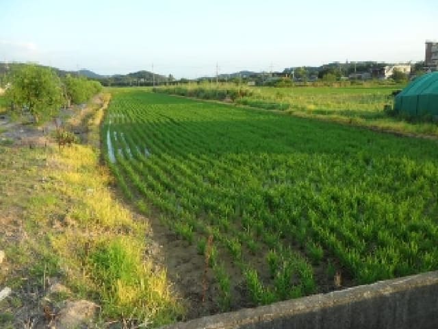 B000320202501300313973.jpg